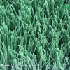 Cooling System Football Artificial Grass